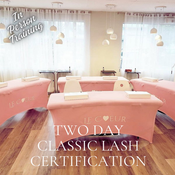 Langley Blink & Brow Co. 2 Day Intensive Lash Extension Certification